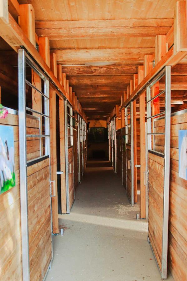 Amd Chalet Stang bei Hatzendorf Exterior foto